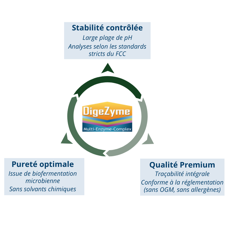 Digezyme® : un standard de qualité pour les complexes enzymatiques
